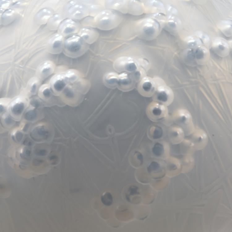 Bild 2 zu Objekt, 'Druide' or 'Gui de Ch&ecirc;ne' vase, 1924, Lalique, Ren&eacute;, Wingen-sur-Moder, 141B 331