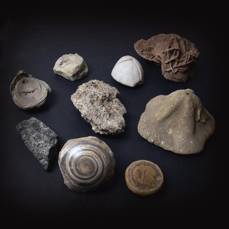 Hauptbild zu Objekt, Mixed lot minerals (9 pieces), 141A 312