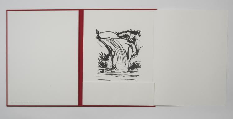 Bild 4 zu Objekt, Portfolio Art Edition for Taschen (mit der signierten Druckgraphik 'Waterfall'), 2008 , Taschen Verlag, 142C 396