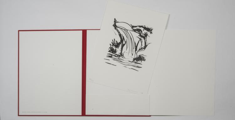 Bild 5 zu Objekt, Portfolio Art Edition for Taschen (mit der signierten Druckgraphik 'Waterfall'), 2008 , Taschen Verlag, 142C 396
