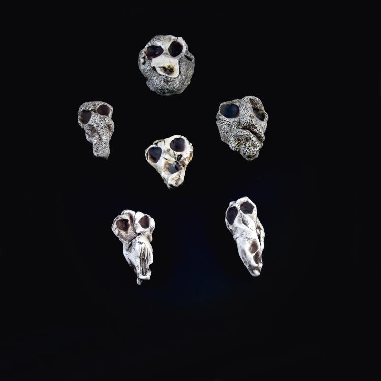 Hauptbild zu Objekt, Sechs Wandobjekte 'Soul Catcher', 2008-10 , Nymphenburg, KPM, 143B 372